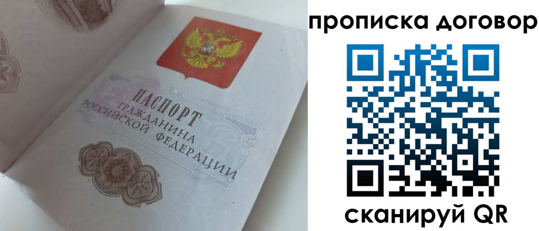 прописка поиск в Калининграде